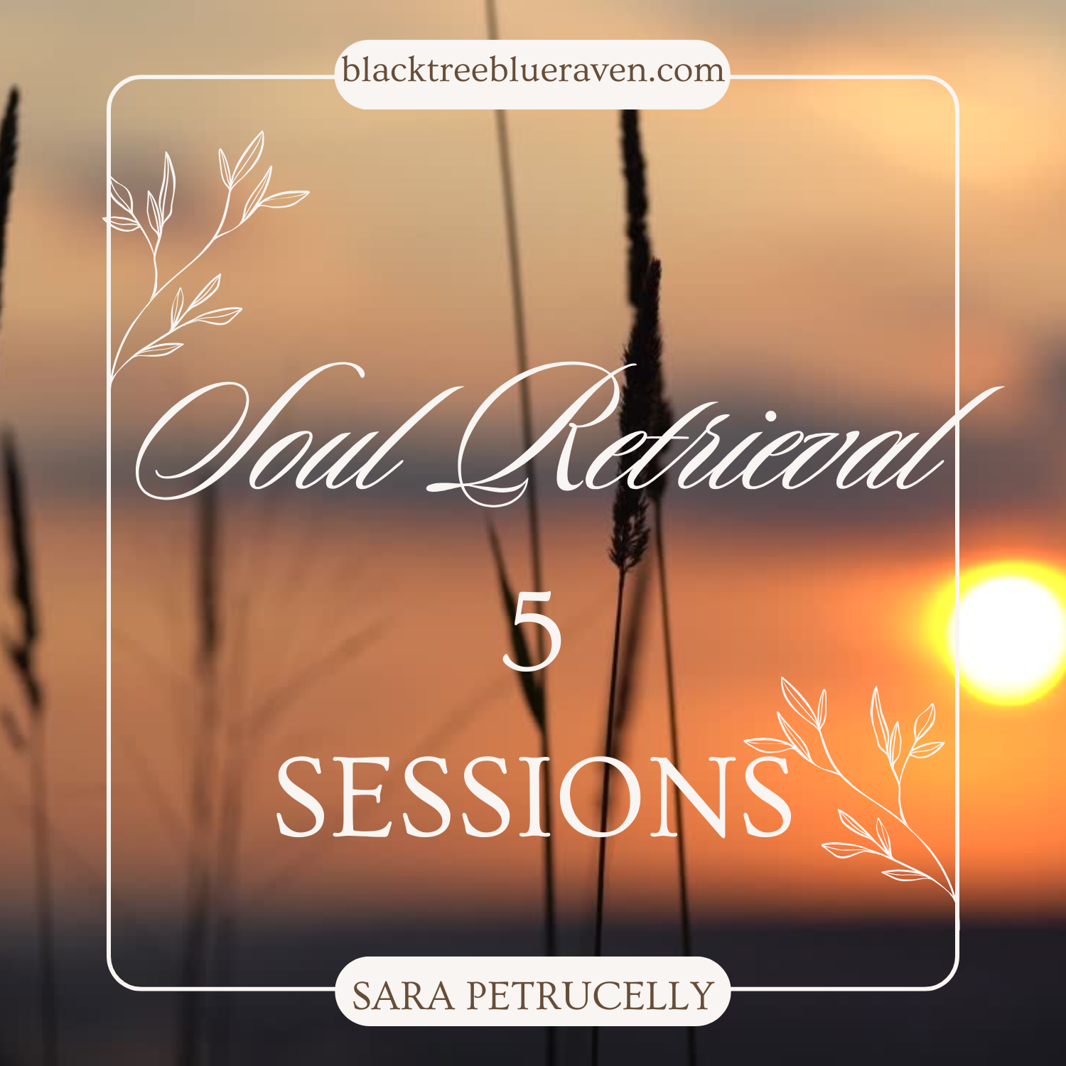 Soul Retrieval Ritual Discount Package-5 Sessions-Find Your Purpose, Alleviate Depression, Anxiety, Money Problems
